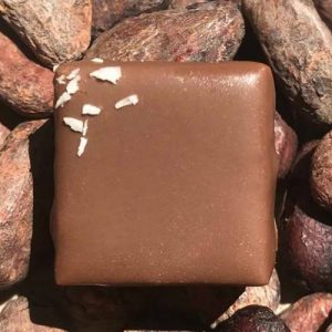 Ganache-lait-Cocotier - Chocolaterie du Blason