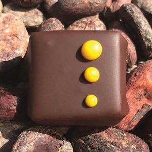 Ganache-noire - La-dernière-séance