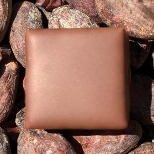 Praliné-lait-Gianduja