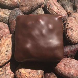 Praliné-noire -Ecureuil-noir